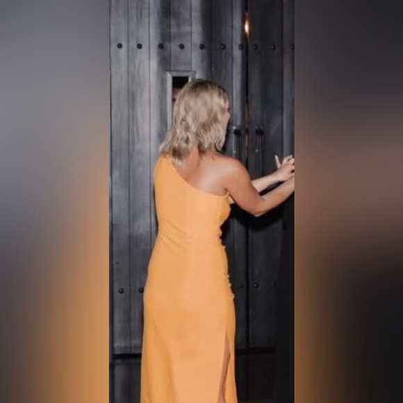 Showpo Monette Dress - Picture 3 of 4